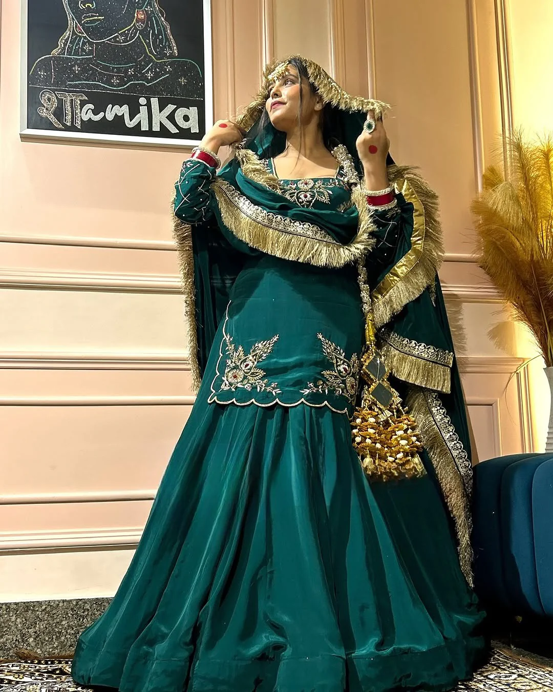Regal Zari and Stone Embellished Hand work. - Image 3