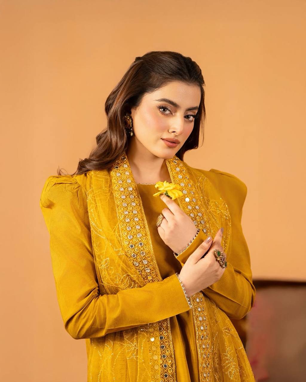 Timeless Elegance Indian Heritage Attire - Image 10